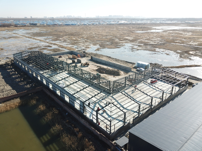 欧博abg(中国区)官方网站