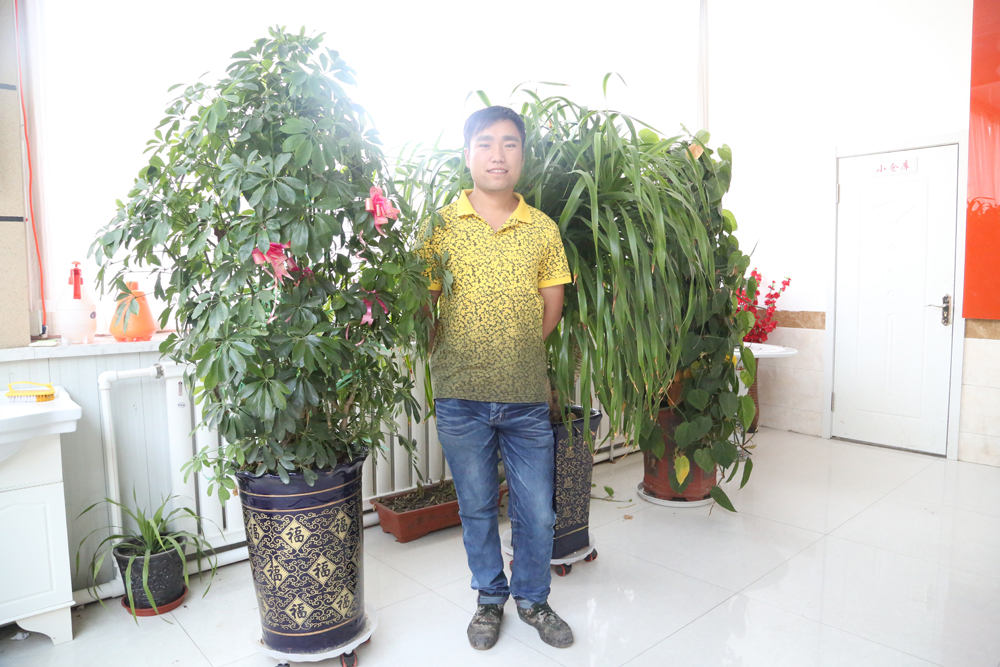 欧博abg(中国区)官方网站